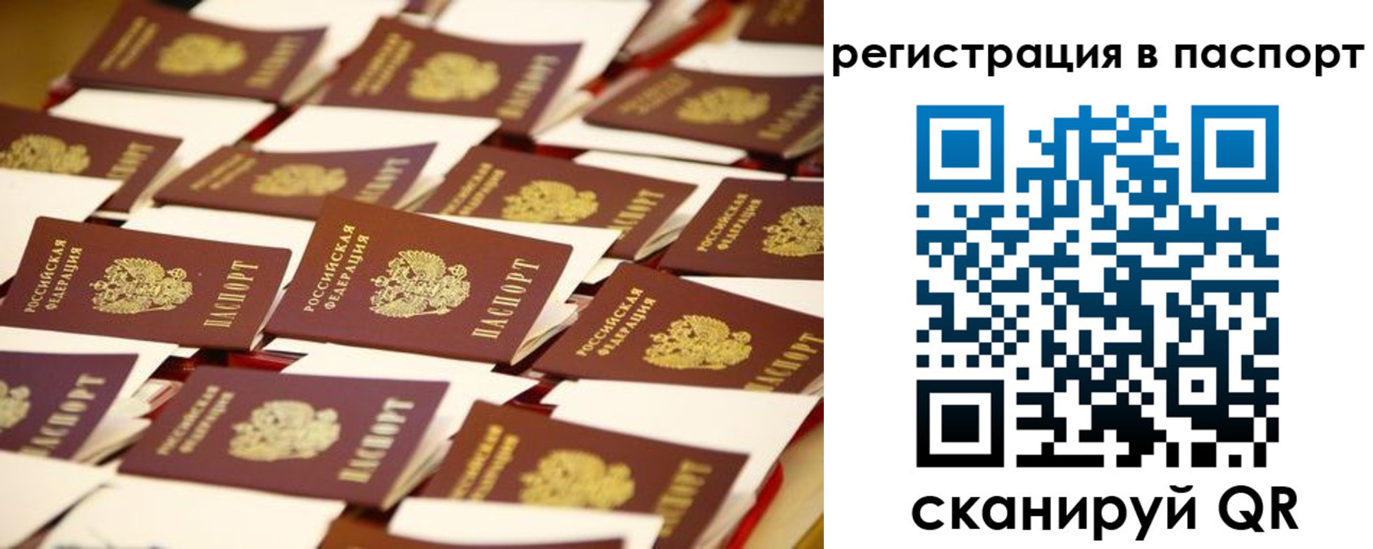 прописка гарантия в Рошале